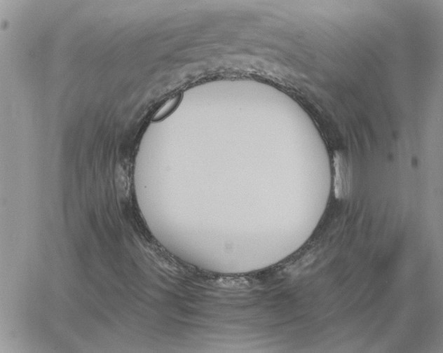 X0000066021491200603241522