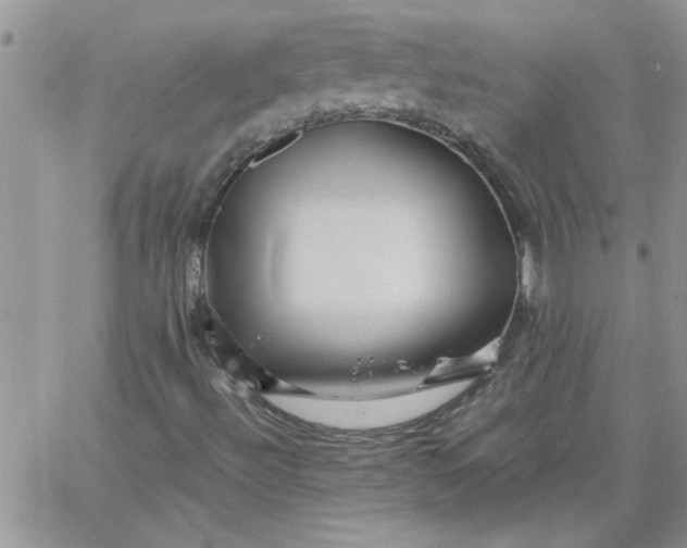 X0000066021492200603241522