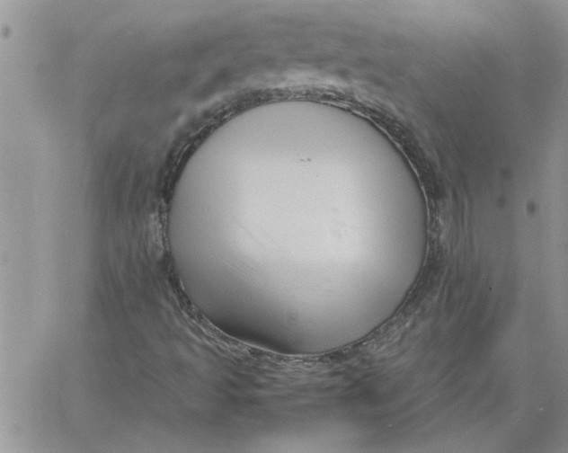 X0000066021493200603241522