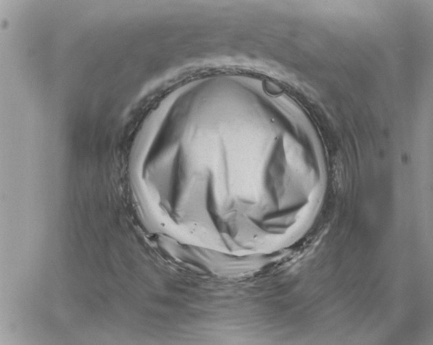 X0000066021494200603241522