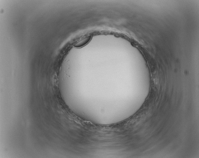 X0000066021495200603241522