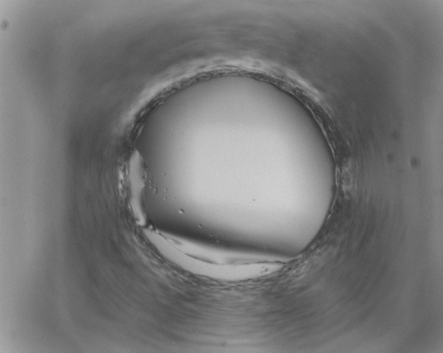 X0000066021496200603241522