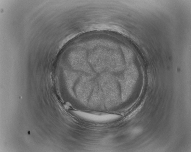 X0000066021497200603241522