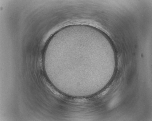 X0000066021498200603241522