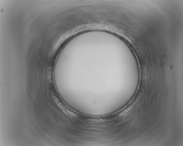 X0000066021499200603241522