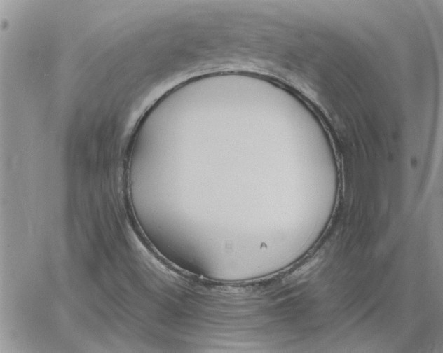 X0000066021500200603241522