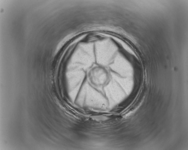 X0000066021501200603241522