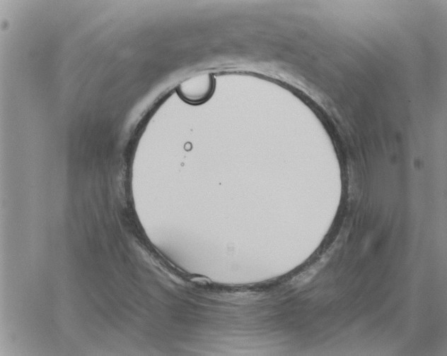 X0000066021502200603241522