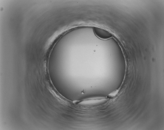 X0000066021503200603241522