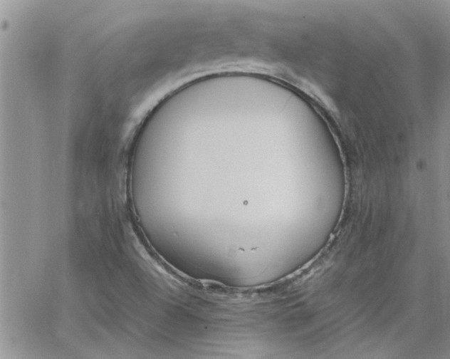 X0000066021504200603241522