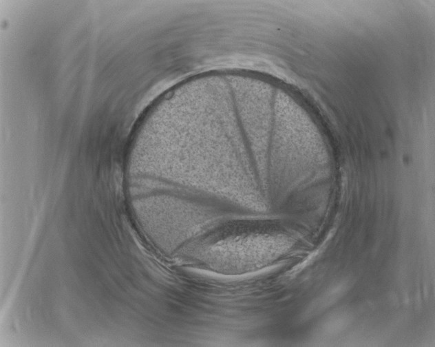 X0000066021505200603241522