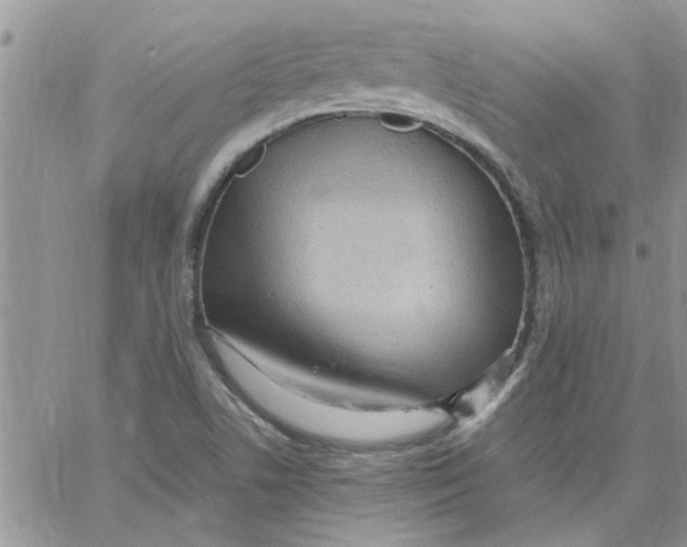 X0000066021506200603241522