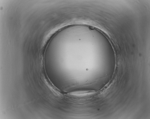 X0000066021507200603241522