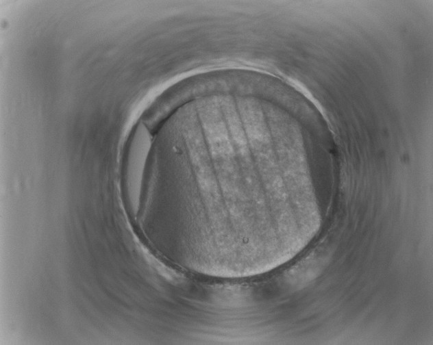 X0000066021508200603241522