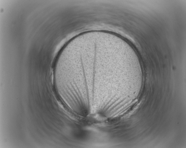 X0000066021509200603241522