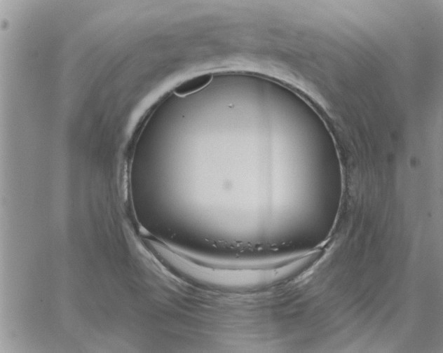 X0000066021510200603241522