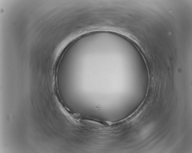 X0000066021511200603241522