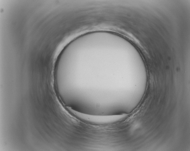 X0000066021512200603241522