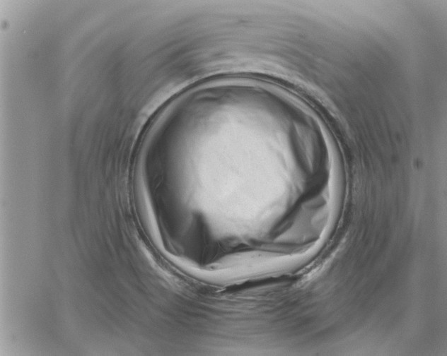 X0000066021513200603241522