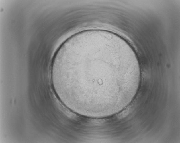 X0000066021514200603241522