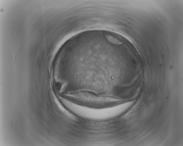 X0000066021515200603241522