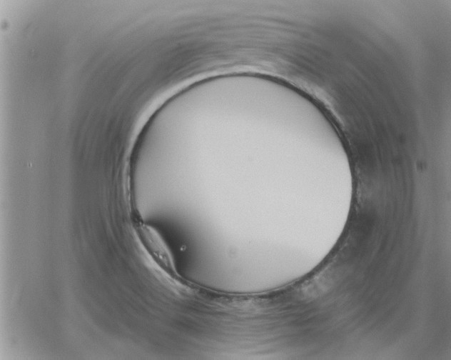 X0000066021516200603241522