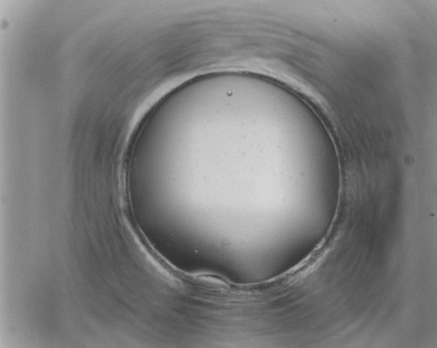 X0000066021517200603241522