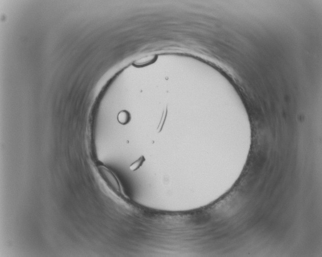 X0000066021518200603241522