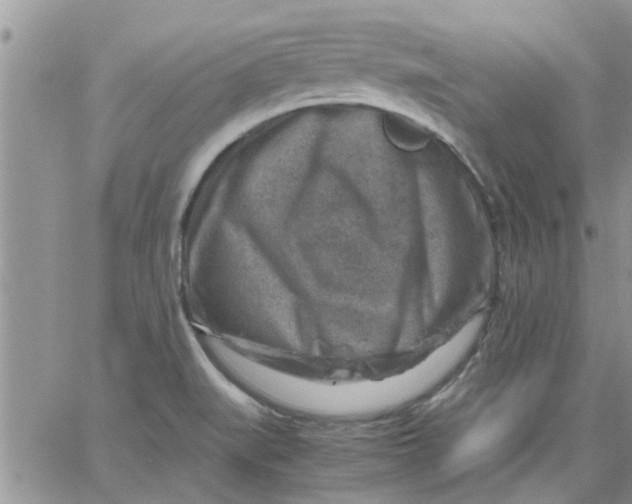 X0000066021519200603241522