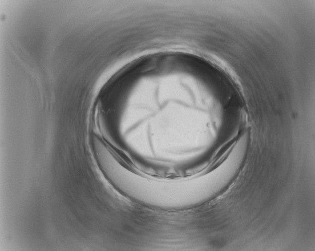 X0000066021520200603241522