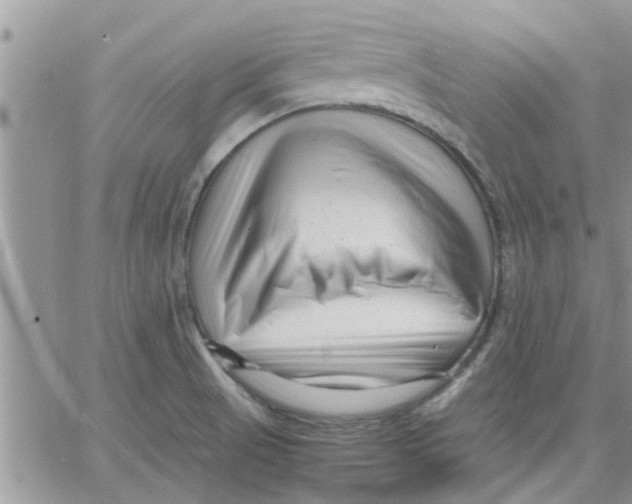 X0000066021521200603241522