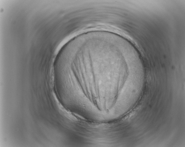 X0000066021522200603241522