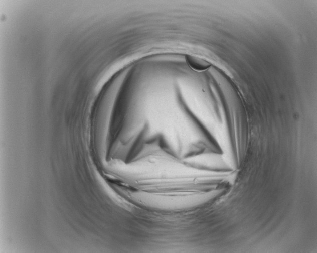 X0000066021523200603241522