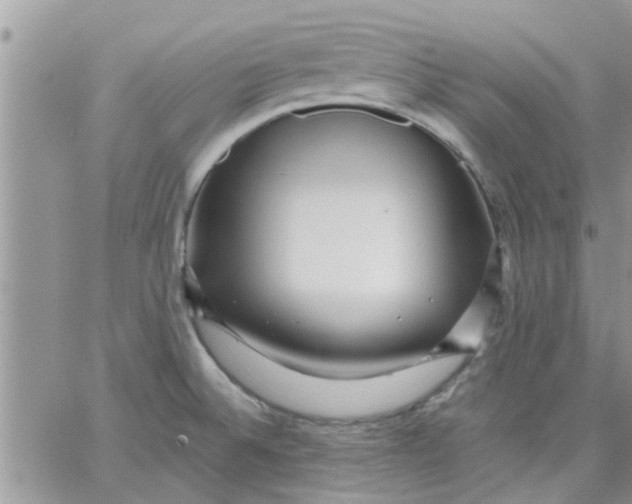 X0000066021524200603241522