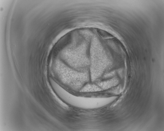 X0000066021525200603241522