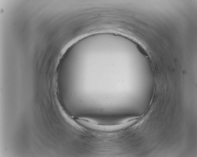 X0000066021526200603241522