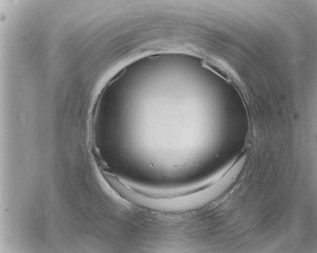 X0000066021528200603241522