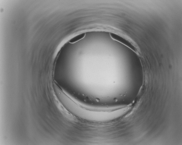 X0000066021530200603241522