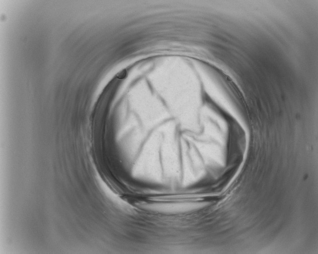 X0000066021531200603241522