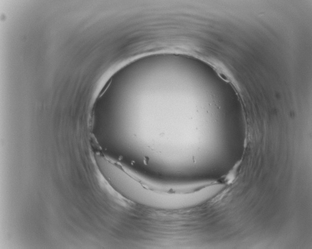 X0000066021532200603241522