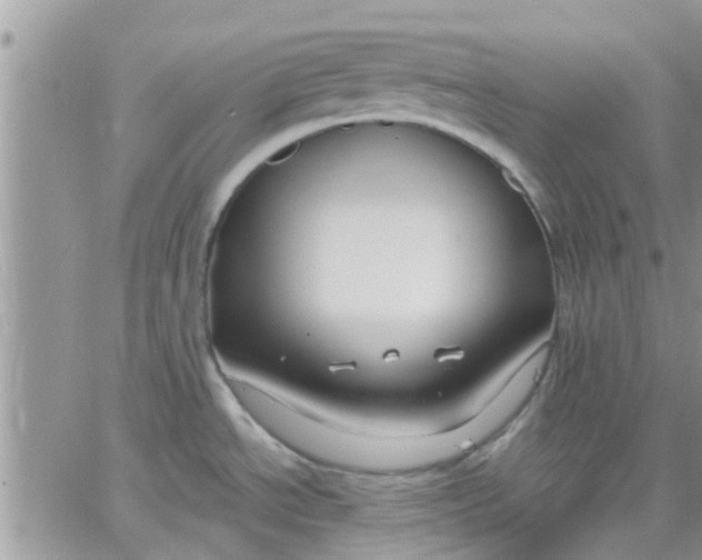 X0000066021534200603241522