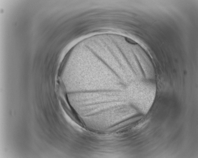 X0000066021535200603241522