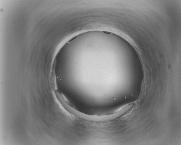 X0000066021536200603241522