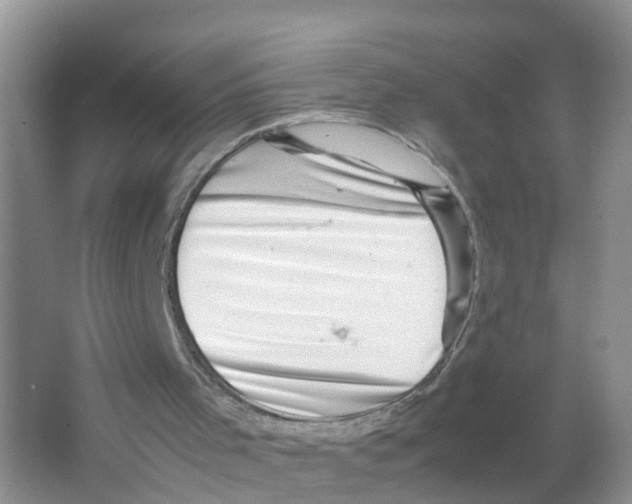 X0000066020001200603312101