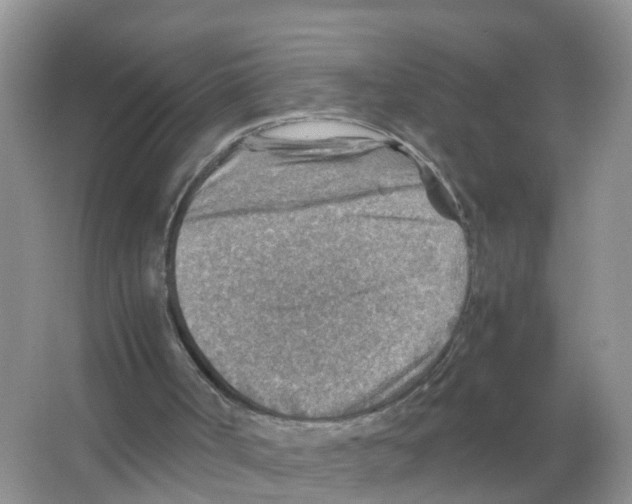 X0000066020002200603312101