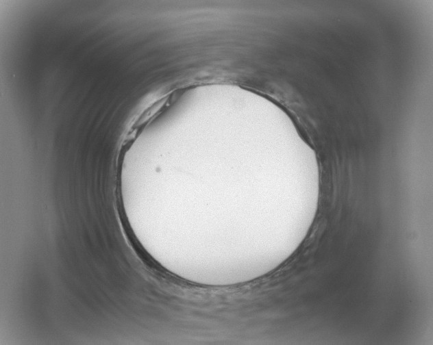 X0000066020003200603312101