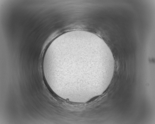 X0000066020004200603312101