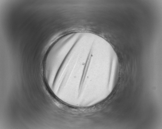 X0000066020005200603312101