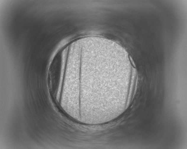 X0000066020006200603312101