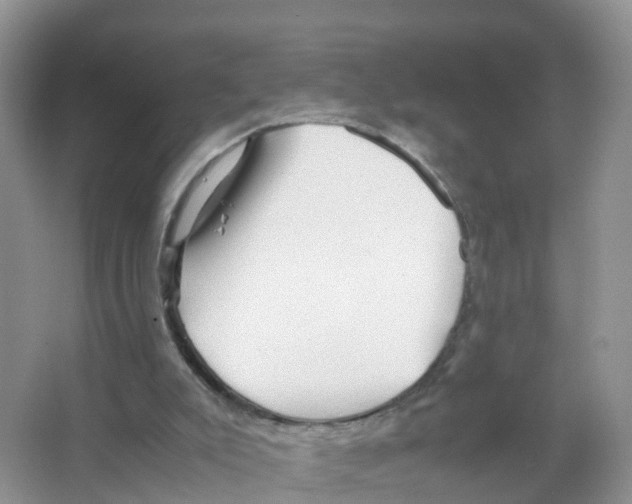 X0000066020007200603312101